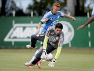 Souza nem vai mais treinar com elenco do PalmeirasFoto: Ricardo Matsukawa / Terra