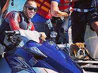 Imagem mostra passeio de Hamilton de jet ski em Mônaco ao lado do cachorro Roscoe. Foto: Twitter / Reprodução