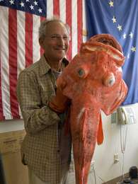 Liebman exibe o peixe recorde Foto: AP Liebman exibe o peixe recorde Foto: AP