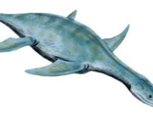 Espécie de répteis teria parentesco com o réptil aquático Leptoceidus Capensis Foto: BBCBrasil.com