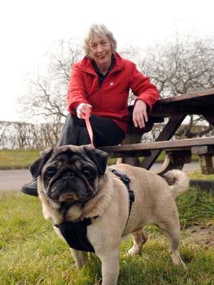 Britânica afirma que cadela salvou sua vida ao 'encontrar' tumor Foto: The Grosby Group