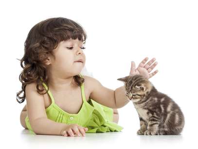 Ter contato com pet no primeiro ano de vida reduz risco de alergia Foto: Getty Images