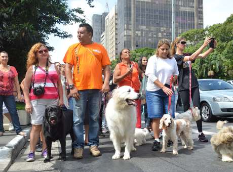 Manifestantes protestaram pelos direitos dos animais em SP Foto: J Duran Machfee / Futura Press