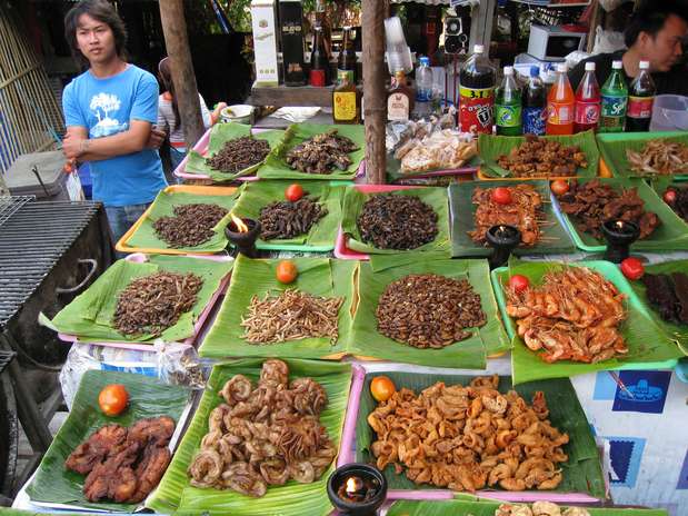 Imagem de fevereiro de 2008 cedida pela FAO mostra insetos à venda em Mercado de Chiang Mai, na Tailândia Foto: AP