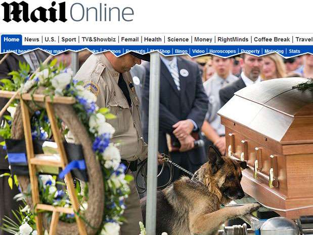 Figo coloca sua pata sobre caixão do companheiro morto durante o funeral Foto: Jonathan Palmer/Herald-Leader / Reprodução