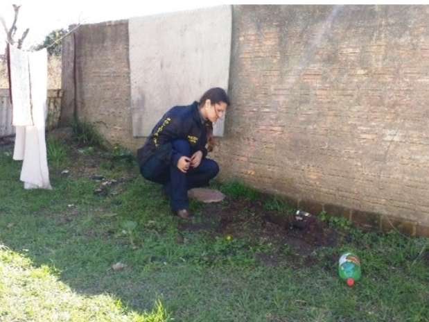 Policiais encontraram o buraco onde bebê foi enterrado no pátio da residência Foto: Polícia Civil do RS / Divulgação