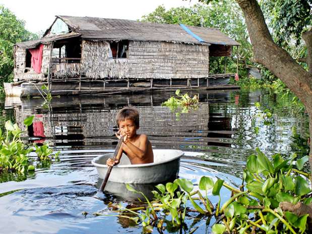 Região da Indo-Birmânia tem 5% do seu habitat original Foto: Divulgação