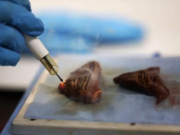 Cientista mostra "faca inteligente" em teste no músculo de um animal Foto: AP