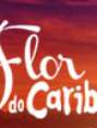 Flor do Caribe