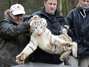 Todos os animais nasceram no zoo, mas ainda não receberam nomes Foto: Reuters
