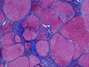 Foto: Hidden Beauty: Exploring the Aesthetics of Medical Science