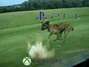 Xbox One é visto como "cachorro trapalhão" por gamers