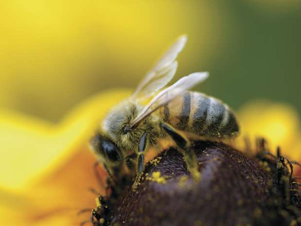 Foto: Getty Images Foto: Getty Images