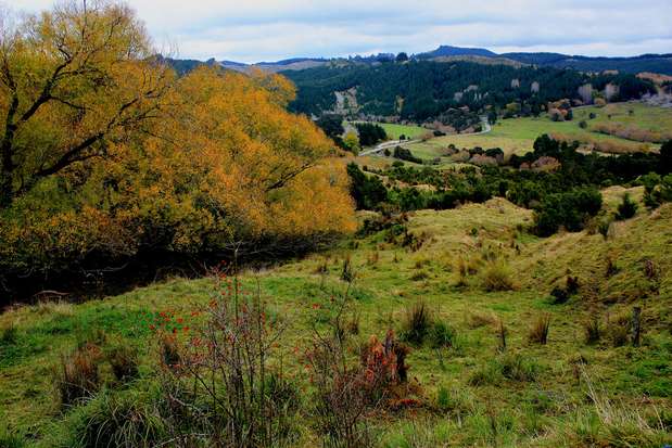 Nova Zelândia: a Nova Zelândia tem uma ótima qualidade de vida em grandes cidades modernas como Auckland e Wellington, além de montanhas, lagos, fiordes e muitas outras maravilhas naturais. O país da Oceania também tem ótimos vinhos e é conhecido por ser o país dos esportes radicais, mas com opções para aqueles que querem tranqüilidade ou adrenalina Foto: Sally