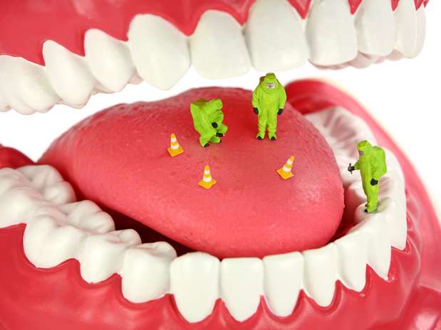 Não só de bactérias ruins os corpos são habitados. Há um exército delas que são benéficas e ajudam a manter o equilíbrio biológico e o bom funcionamento do organismo Foto: Shutterstock Não só de bactérias ruins os corpos são habitados. Há um exército delas que são benéficas e ajudam a manter o equilíbrio biológico e o bom funcionamento do organismo Foto: Shutterstock