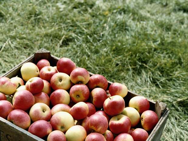 Foto: Getty Images  Foto: Getty Images