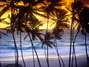 Gold Coast, Barbados - A ilha de Barbados é um dos destinos mais exclusivos do Caribe, com praias paradisíacas e vilas e resorts de luxo. O trecho do litoral conhecido como Gold Coast tem areias brancas e águas calmas, com opções de hospedagem de luxo como o Sandy Lane resort, com vilas, penthouses e suítes confortáveis e espaçosos frente ao mar Foto: Barbados Tourist Board