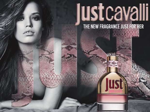 Foto: Divulgação Foto: Divulgação