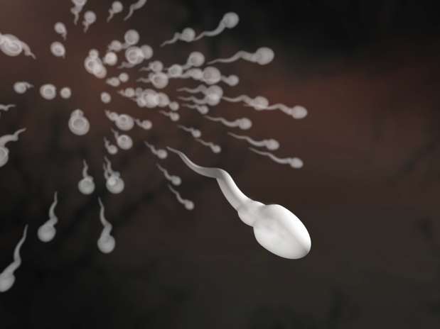 Variações no tamanho do espermatozoide influenciam na fertilidade Foto: Getty Images