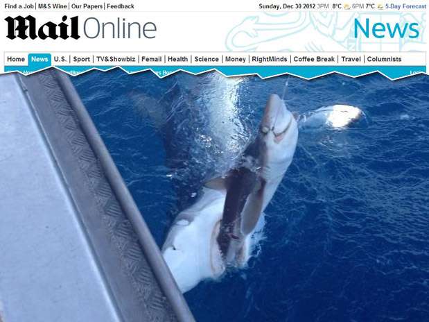 A foto de um tubarão devorando outro chamou a atenção de internautas do site Reddit Foto: Daily Mail / Reprodução