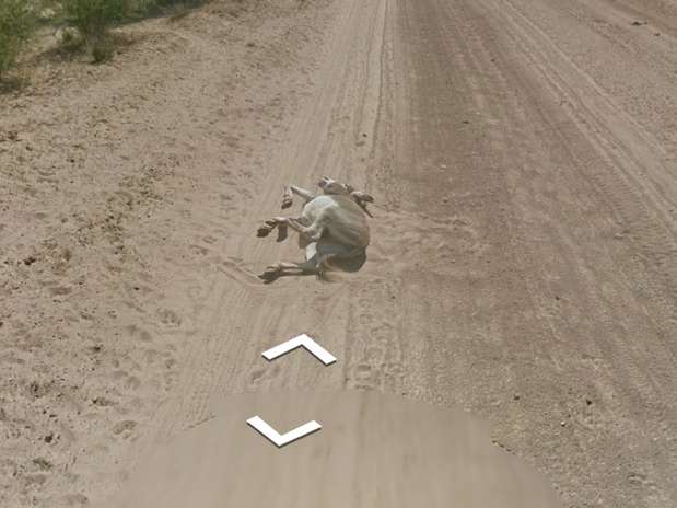 Sequência mostra burro envolto em poeira, sugerindo que recém caiu, e depois apenas imóvel, deitado Foto: Reprodução