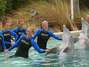 Tenistas se divertem com golfinhos antes de Masters 1000 de Miami.