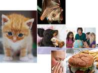 Veja as respostas para 10 dúvidas muito curiosas - parte 3