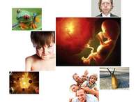 Veja as respostas para 10 dúvidas muito curiosas - parte 4