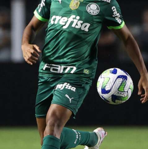 Menino chora após tia dizer que Palmeiras não tem Mundial