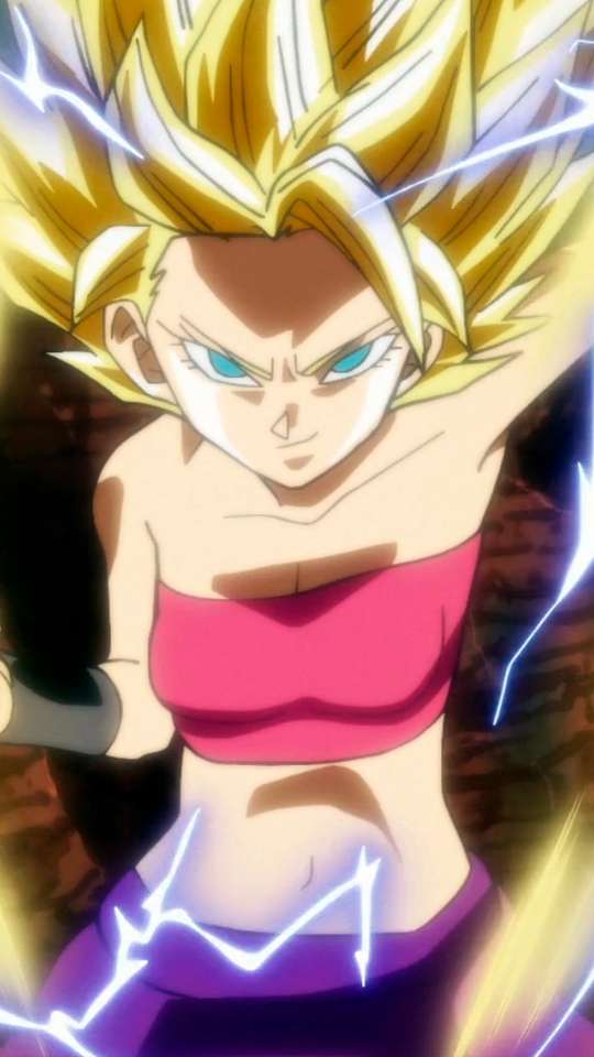 Garotas Saiyajins, elas foram bem colocadas em Dragon Ball?