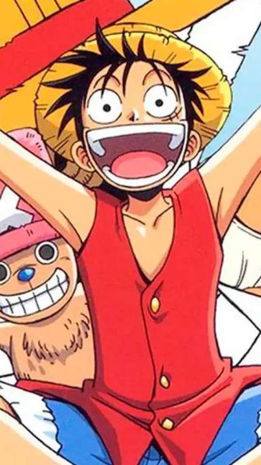 Significado chapéu de palha #onepiece #luffy #anime #manga #animetikto