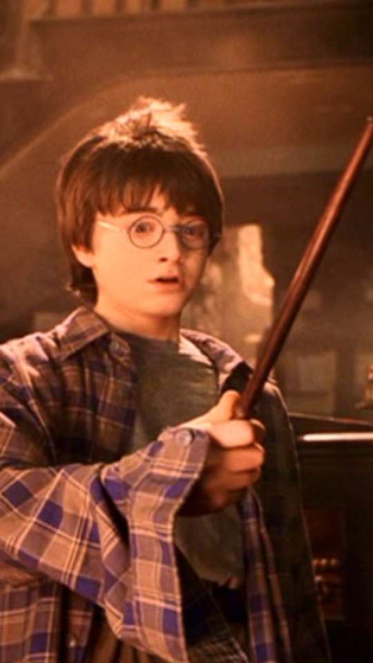 40 curiosidades sobre o filme Harry potter