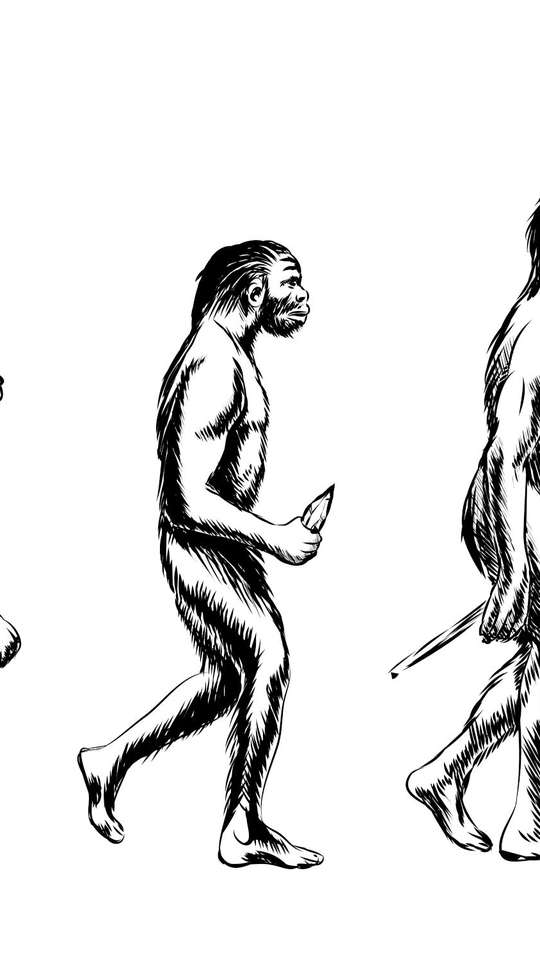 Como era o ancestral comum dos humanos e macacos? - Canaltech