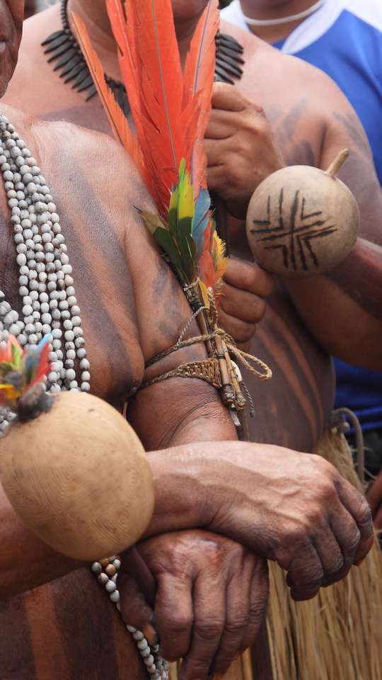 115+ nomes indígenas e seus significados