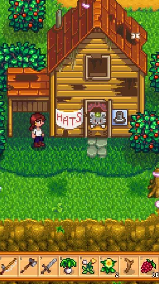 Como Stardew Valley me inspirou a criar um jardim