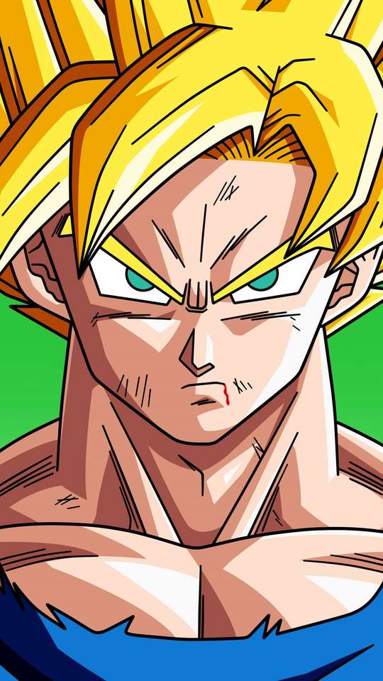 Quadro decorativo Dragon Ball Z O Retorno Dos Androides