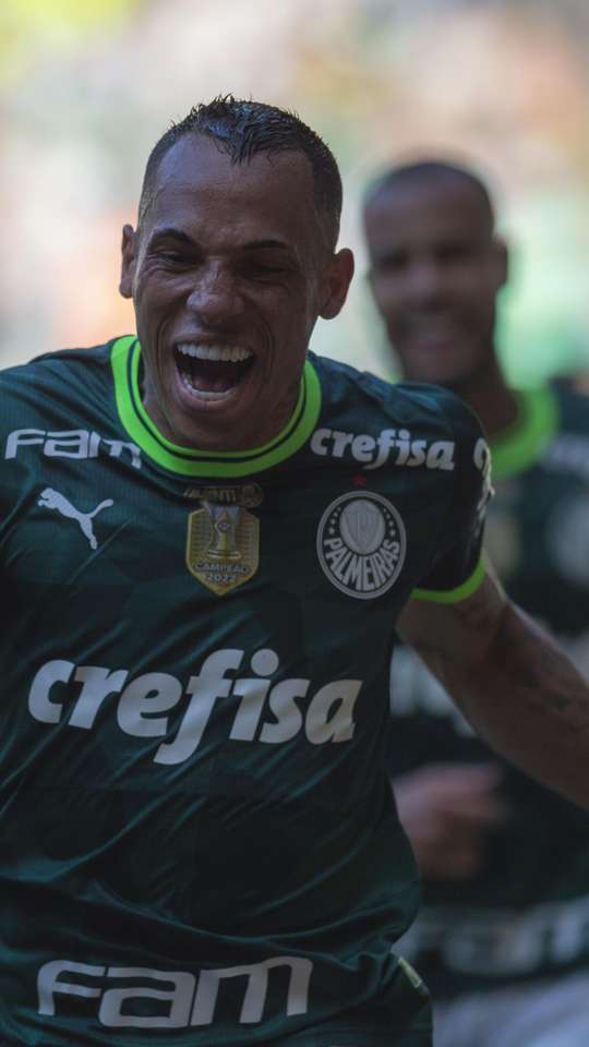 Palmeiras fica no empate com o Cruzeiro e garante o 12º título  brasileiro - Folha PE