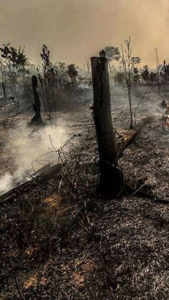 El Niño: superaquecimento deve começar a perder força em fevereiro