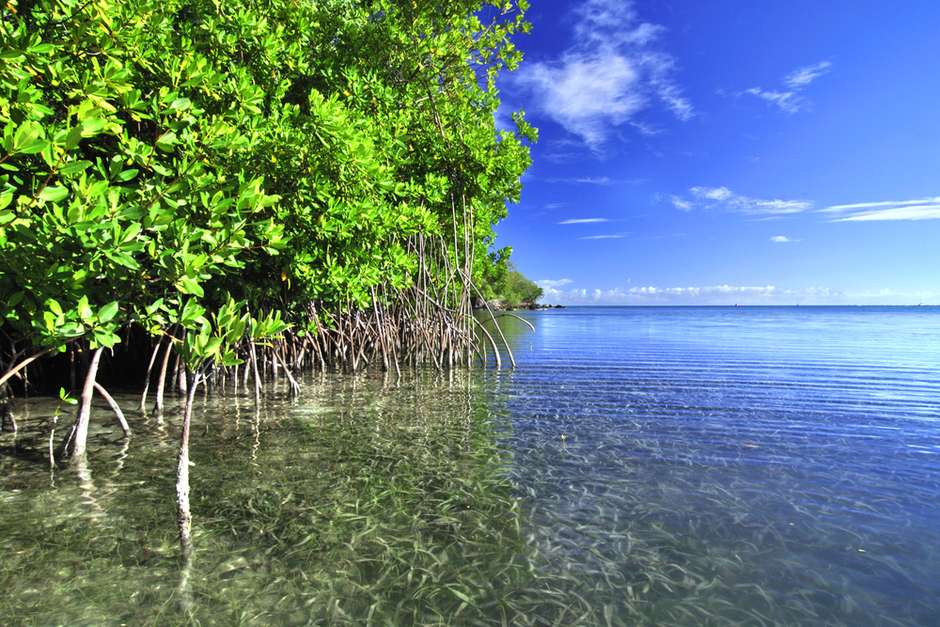 Suas ruelas de paralelepípedo e casinhas coloniais encantam qualquer um... Foto: Shutterstock / PureViagem