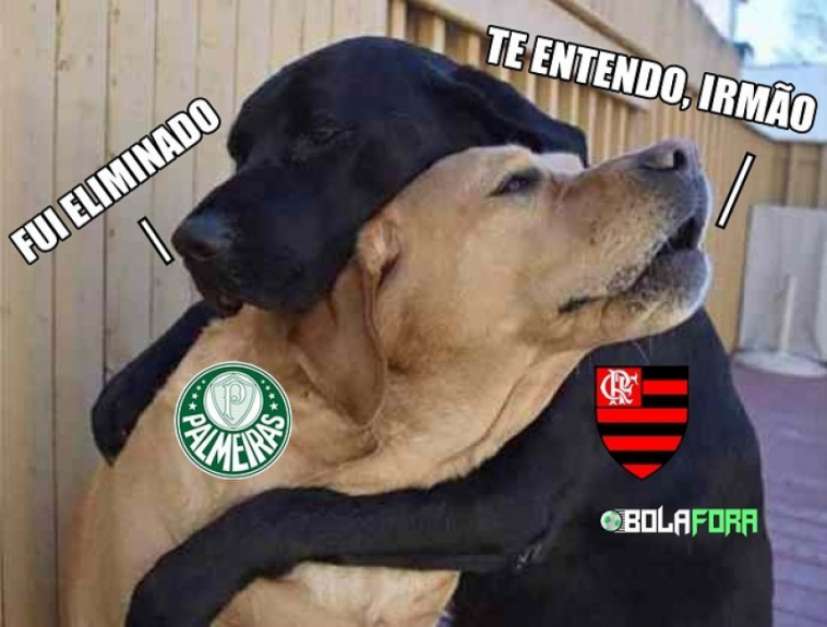 MEMES: o adeus de Palmeiras e Flamengo na Copa do Brasil Foto: ReproduÃƒÂ§ÃƒÂ£o / Humor Esportivo