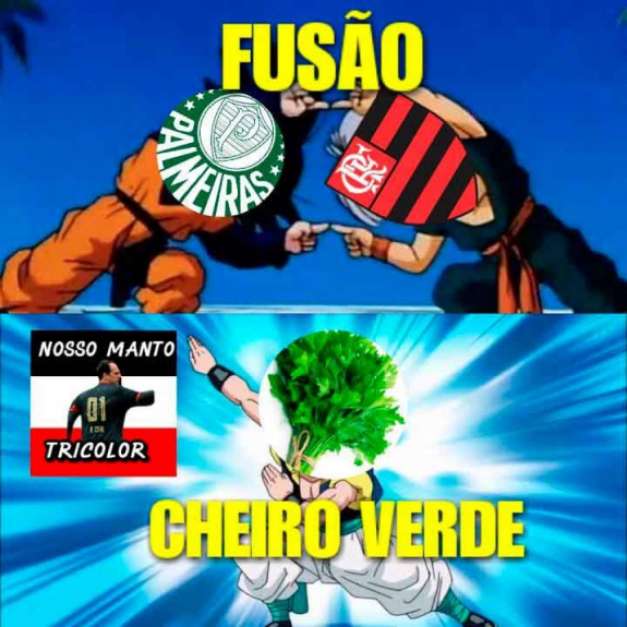 MEMES: o adeus de Palmeiras e Flamengo na Copa do Brasil Foto: ReproduÃƒÂ§ÃƒÂ£o / Humor Esportivo